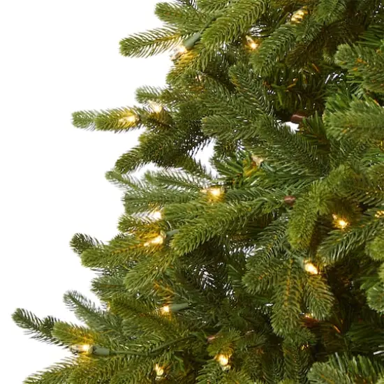 7.5ft. Pre-Lit Washington Fir Artificial Christmas Tree with Clear Lights {4}