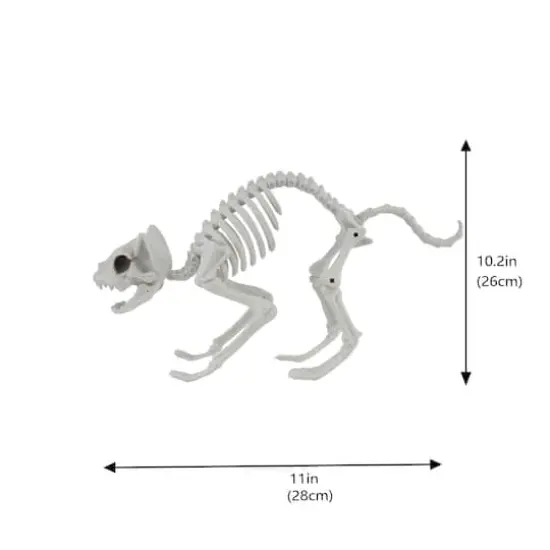 11" Cat Skeleton by Ashland&reg; {5}