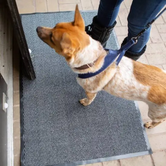 DII&reg; Gray & Black Walk Off Utility Doormat, 30" x 48" {4}