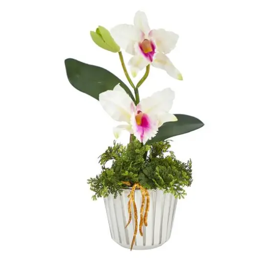 13" Mini Orchid Cattleya in White & Silver Vase {1}