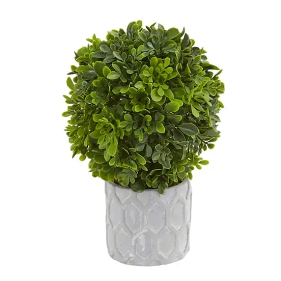 9" Potted Boxwood Mini Topiary, 3ct. {5}