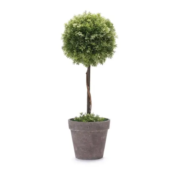 17.5" Potted Boxwood Topiary Tree {1}