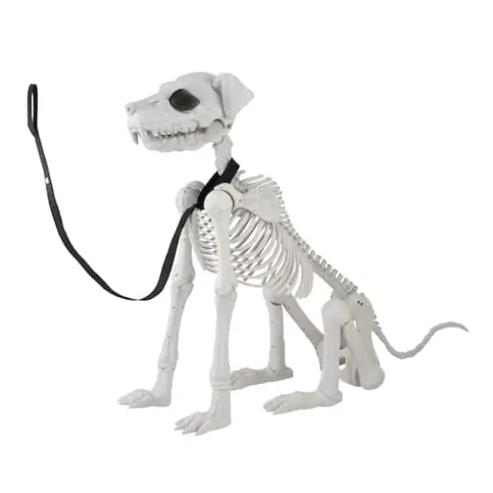5ft. Poseable Dog Skeleton by Ashland&reg; {4}