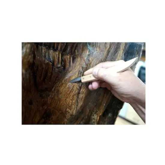 Carving Knife by ArtMinds&reg; {6}