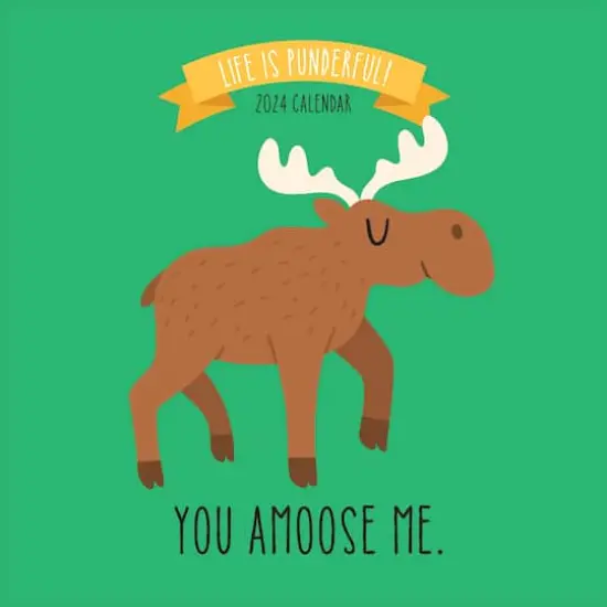 TF Publishing 2024 Puns Wall Calendar {1}