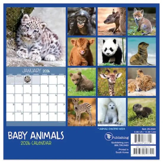 2026 Baby Animals Mini Calendar {6}