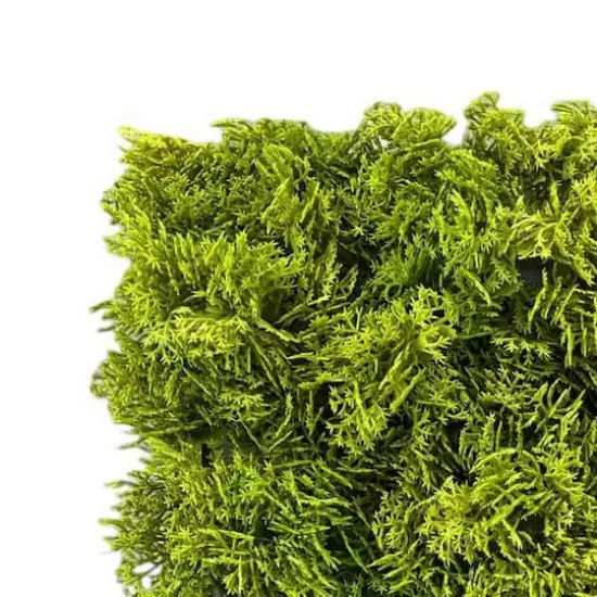 10" Faux Moss Mat by Ashland&reg; {3}