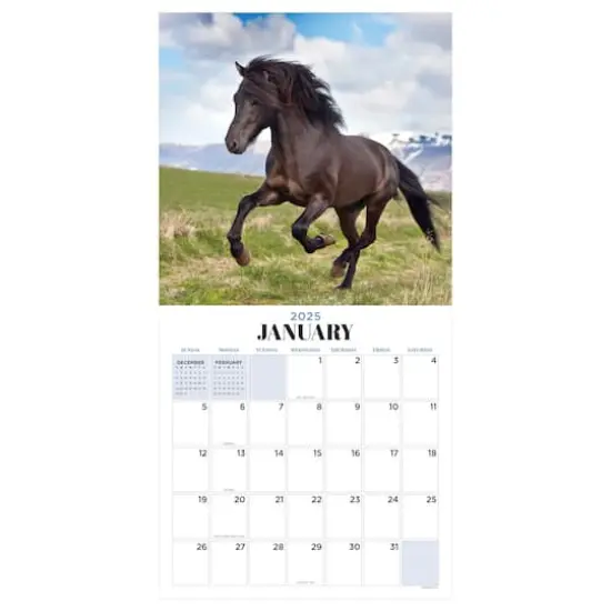 TF Publishing 2025 Horses Wall Calendar {6}