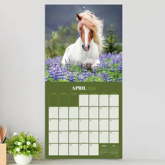 2026 Horses Wall Calendar {4}