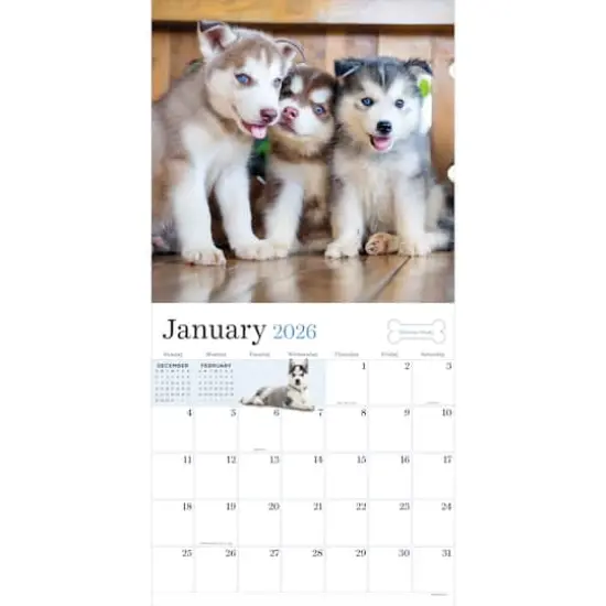 2026 Puppies Wall Calendar {3}