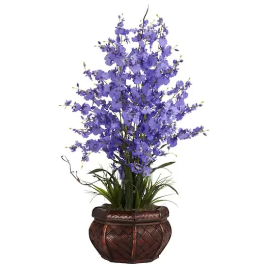 2.5ft. Purple Dancing Lady Orchid Arrangement with Bamboo Vase {1}