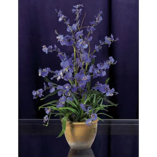 Dancing Lady Silk Orchid Arrangement {3}