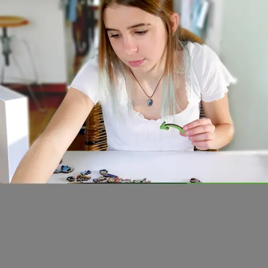 Joe Journeyman NFL Wooden Puzzle Miami Dolphins {6}