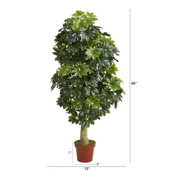 5ft. Potted Umbrella Tree {3}