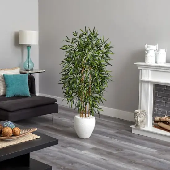 5ft. Bamboo Tree in Oval White Planter {4}