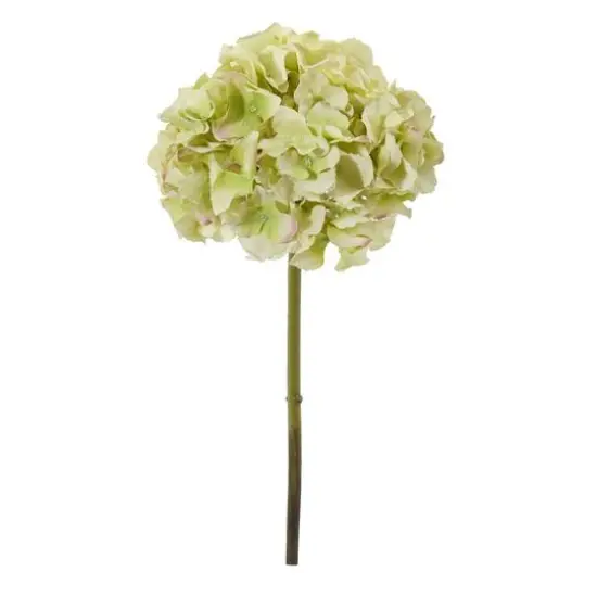 19" Hydrangea Stem, 6ct. Light Green {1}