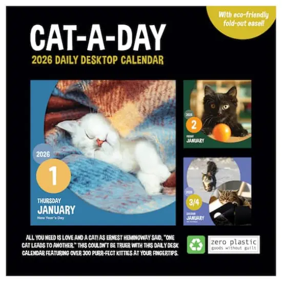 2026 Cat A Day Daily Desktop Calendar {7}