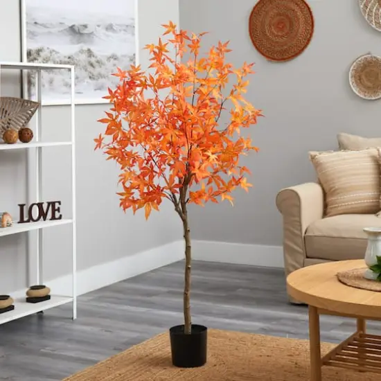5ft. Potted Orange Autumn Maple Tree {3}