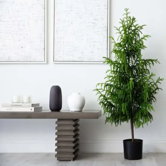 5ft. Unlit Norfolk Pine Artificial Potted Christmas Tree {3}