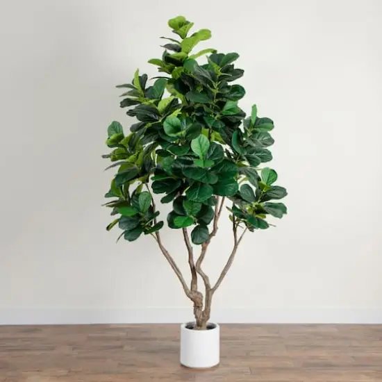 8ft. Artificial Grand Fiddle Leaf Tree in White Decorative Planter {4}