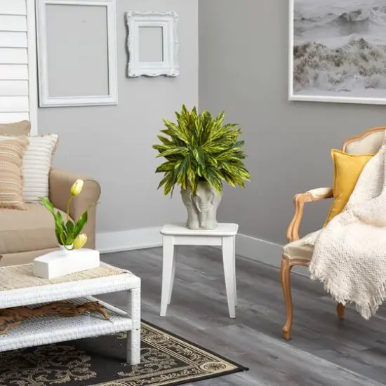 25" Spiderwort Plant in White Elephant Shaped Planter {6}