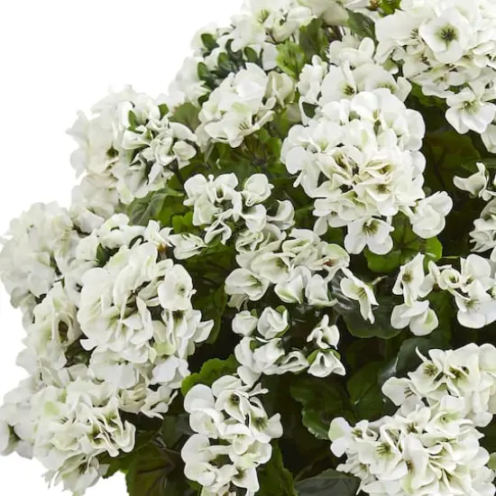 2.5ft. White Geranium in Slate Planter {3}