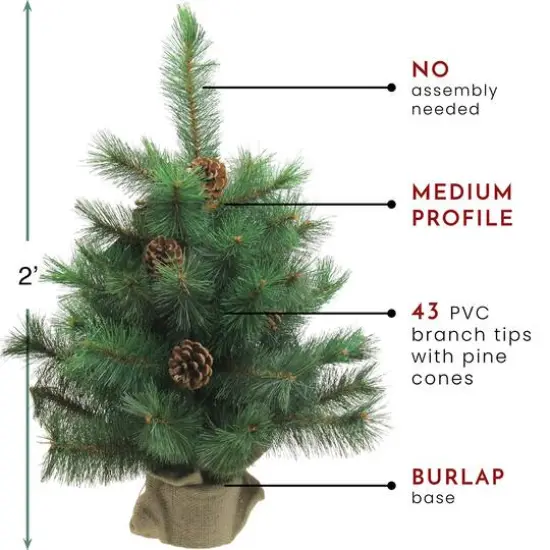2ft. Unlit Royal Oregon Pine Artificial Christmas Tree in Burlap Base {4}