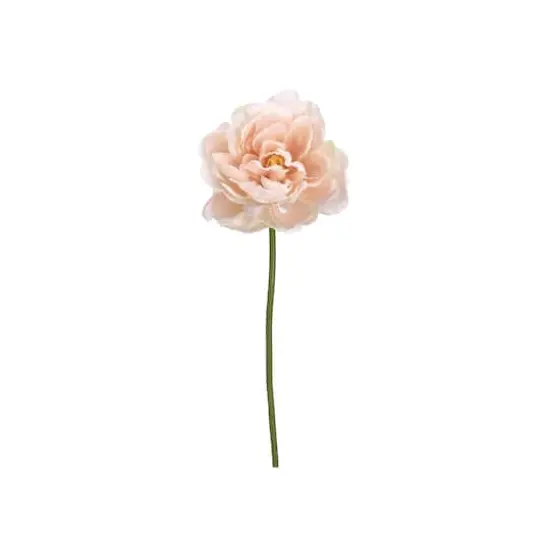 Soft Pink Peony Stem {1}