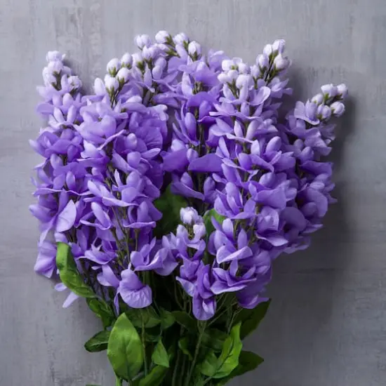 Purple Wisteria Bush by Ashland&reg; {4}