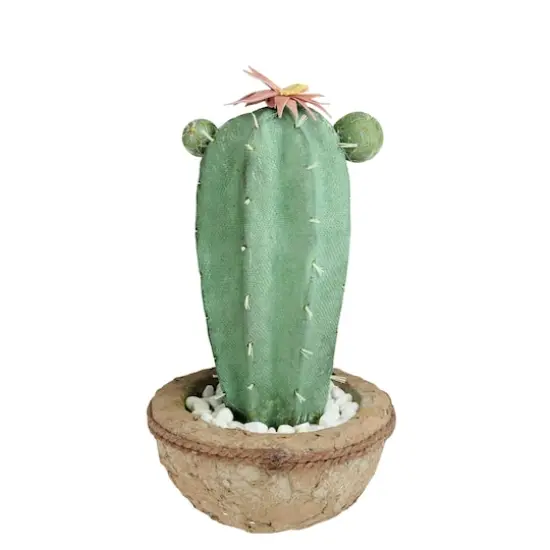 13.75" Southwestern Style Potted Cactus with Flowers {1}