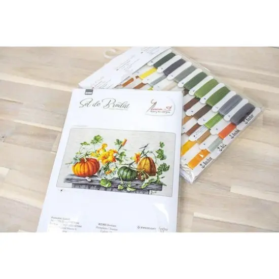 Luca-s Pumpkin Counted Cross Stitch Kit {7}