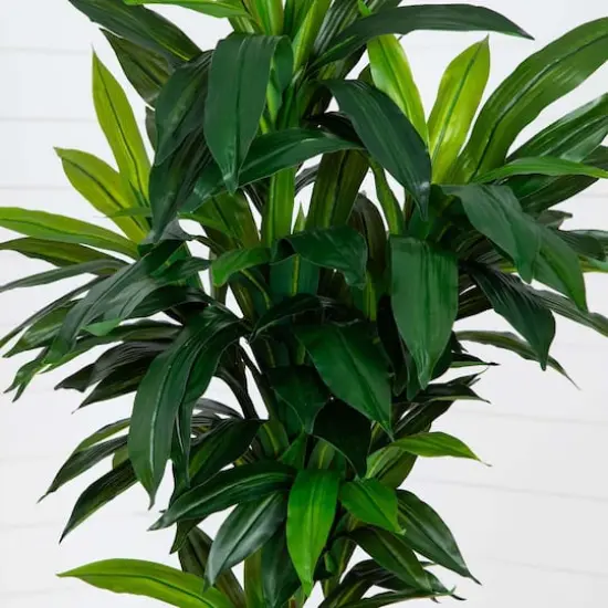7ft. Potted Green Artificial Dracaena Tree with Real Touch Leaves {4}