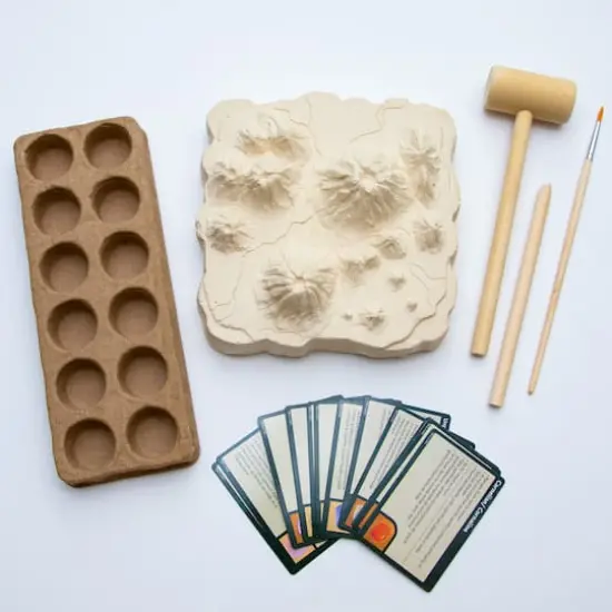 BBC Earth Dig & Discover Treasure Excavation {3}