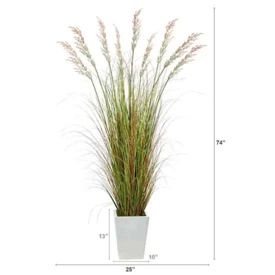 6ft. Grass Plant in White Metal Planter {5}