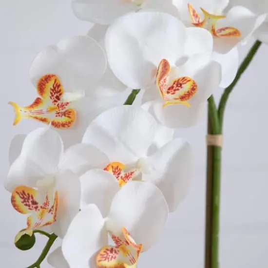 2ft. Artificial Double Orchid Arrangement in Handmade Mexican Talavera Ceramic Planter {7}