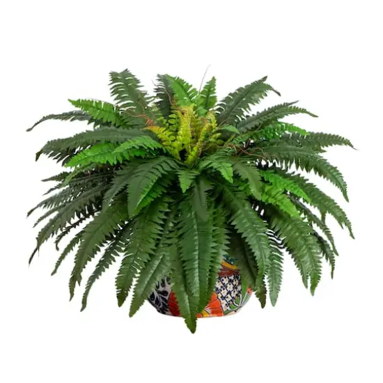 3.5ft Artificial Double Boston Fern in Handmade Mexican Talavera Ceramic Planter {1}