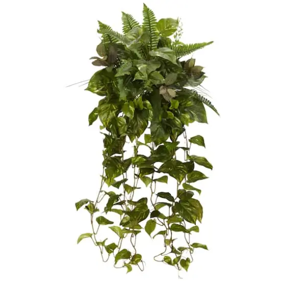 3ft. Mixed Greens Hanging Plant, 2ct. {1}