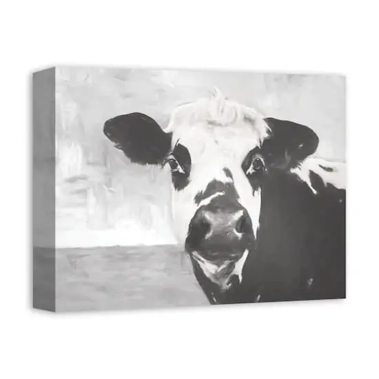 Monochromatic Cow 11" x 14" Canvas Wall Art {3}