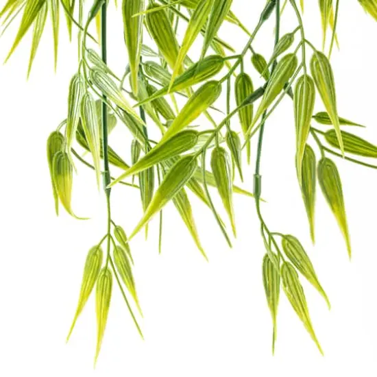 Hanging Bamboo Fern Bush Fern Collection by Ashland&reg; {3}