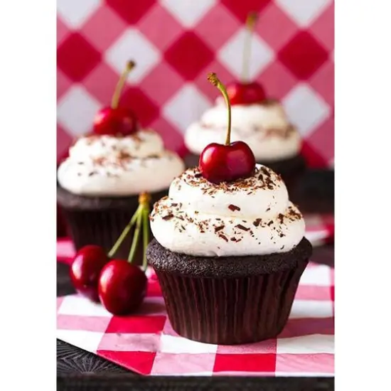 Crafting Spark Cherry Cupcake Diamond Painting Kit {3}