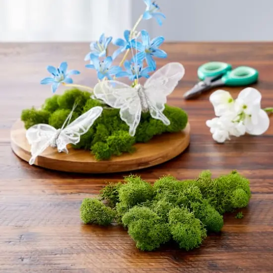 SuperMoss&reg; Basil Reindeer Moss {3}