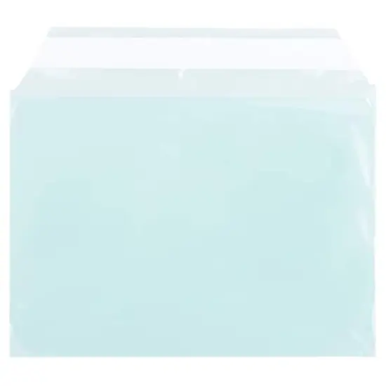 JAM Paper 5.063" x 7.188" Cello Sleeves with Self Adhesive Closures, 100ct. Aqua {1}