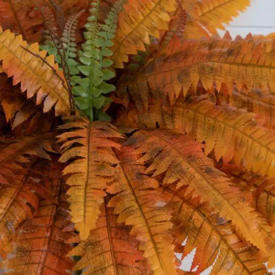 40in. Autumn Artificial Fall Boston Fern - Set of 2 {4}