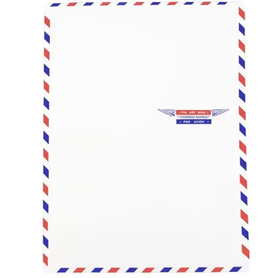JAM Paper 9" x 12" White Airmail Envelopes {1}