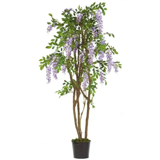 5ft. Potted Wisteria Tree {1}