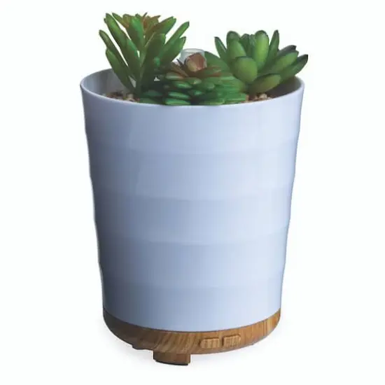 Airom&eacute; 100mL Potted Succulent Medium Ultra Sonic Diffuser {1}