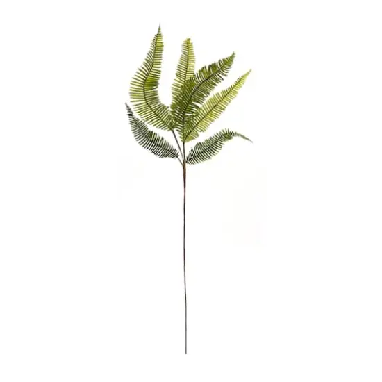 Fern Spray, 6ct. {4}