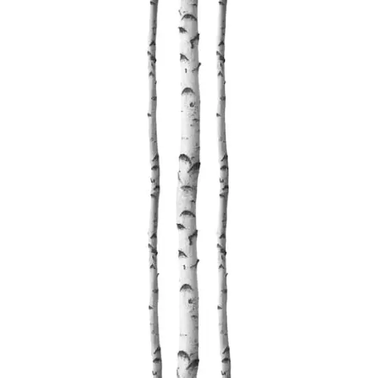 WallPops Silver Birches Wall Art Kit {1}