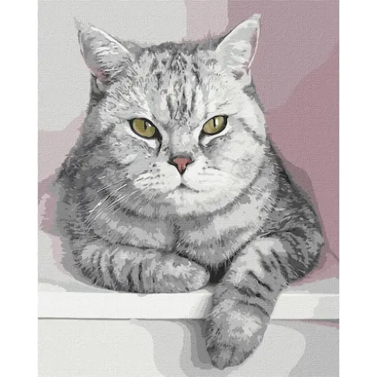 Ideyka My Furry Friend Painting by Numbers Kit {4}