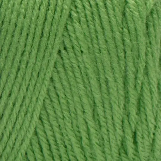 Red Heart&reg; Super Saver&reg; Solid Jumbo Yarn, 14oz. Spring Green {3}